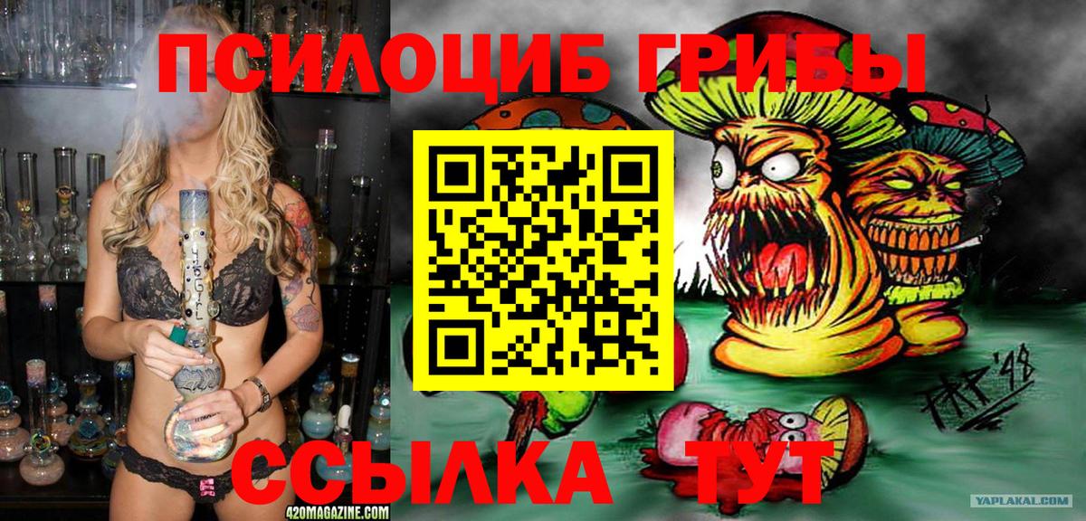 Псилоцибиновые грибы Psilocybine cubensis Кинешма
