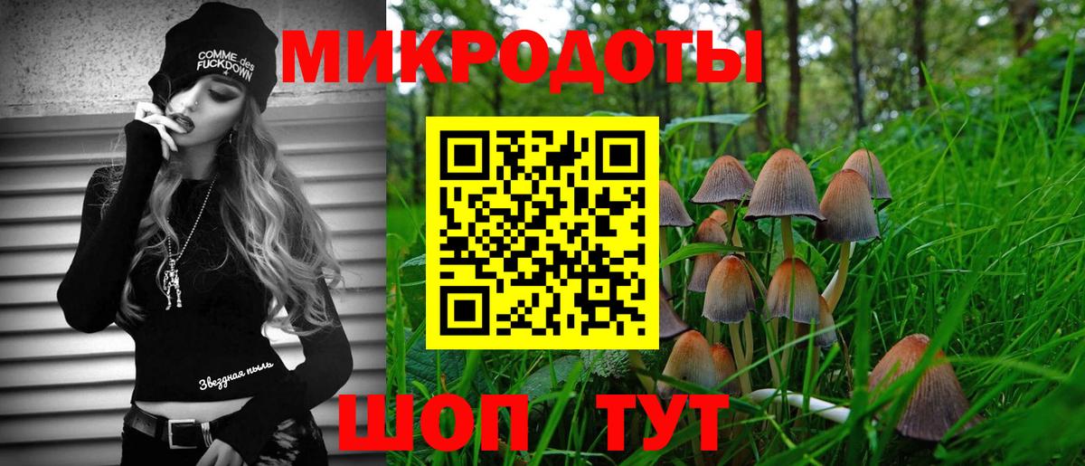 Галлюциногенные грибы ЛСД  Вход с VPN  Кинешма  Галлюциногенные грибы Psilocybe 