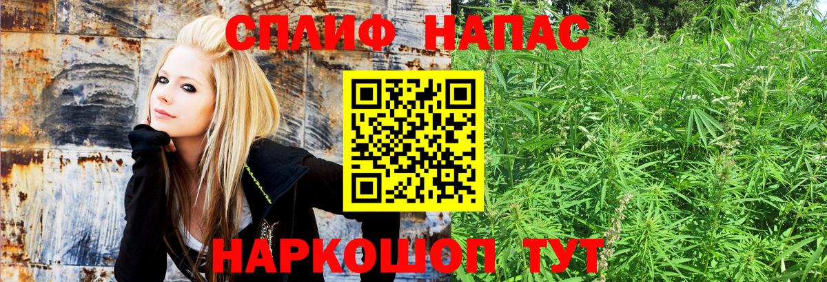 Бошки марихуана Bruce Banner Кинешма