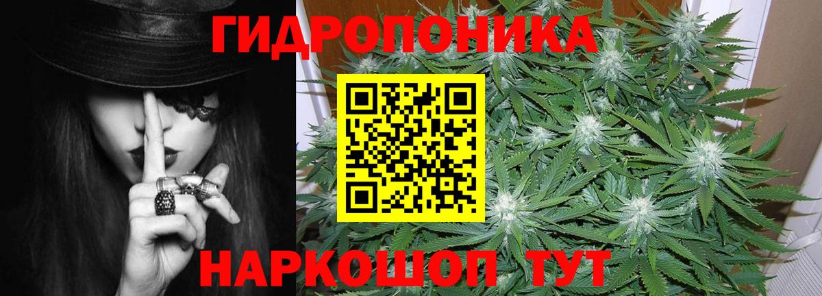 Кинешма  Бошки Шишки гибрид  Канабис марихуана  Шишки марихуана MAZAR  Вход с VPN 